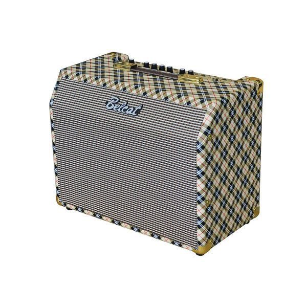 Комбопідсилювач для акустичних та класичних гітар Belcat Acoustic25RC 24-10-25-33 фото