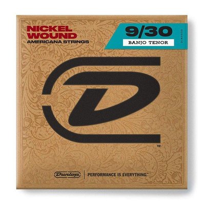 Струни для банджо Dunlop DJN0930 Nickel wound 9-30 120709 фото