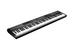 Цифрове піаніно Kurzweil KA-S1 LB 530130 фото 4