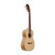 Укулеле тенор Prima M320T (Solid Spruce / Zebrawood) (Натуральний) 125235 фото 2