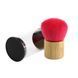 Щітка для чищення платівок GOKA GK-R50 24-09-12-93 фото 2