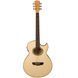 Электроакустическая гитара Washburn EA20 TS с преампом Barcus-Berry EQ4T 527615 фото 2