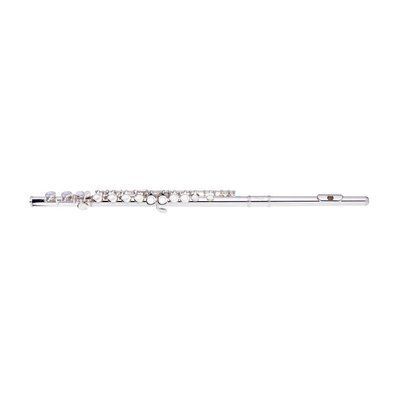 Флейта STAGG P WS-FLL111 89520 фото