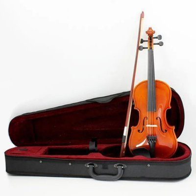 Скрипка Rafaga АЕ в кофре размер 3/4 комплект чехол, смычок, канифоль 81493 фото