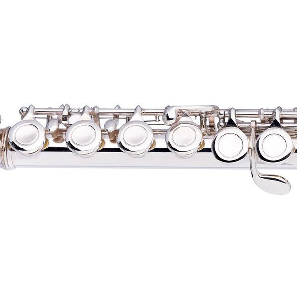 Флейта STAGG P WS-FLL111 89520 фото