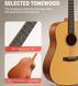 Набор акустическая гитара Donner Donner Music Acoustic Guitar 41 Inch Full-size EC983 + чехол + струны + тюнер + накладка + каподастр 87518 фото 2