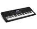 Синтезатор Casio CT-X700 (61 клавіша) 125271 фото 3