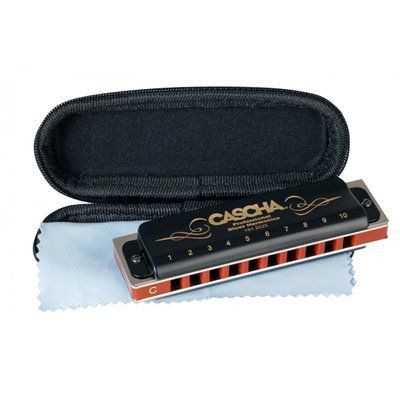 Губная гармошка Cascha Professional Blues Harmonica in C Diatonic HH 2025 (До) 24-01-29-14 фото