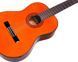 Гітара класична Washburn C5 розмір 4/4 з нейлоновими струнами колір натуральний 256643 фото 3