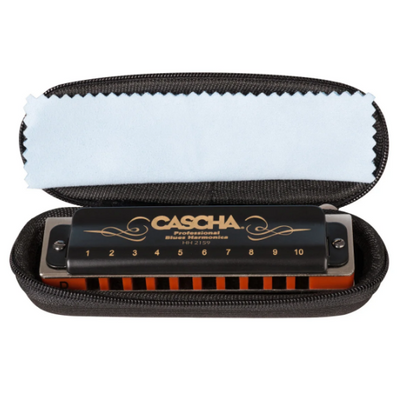 Губная гармошка Cascha Professional Blues Harmonica в D Diatonic HH 2159 (Ре) 24-10-05-02 фото