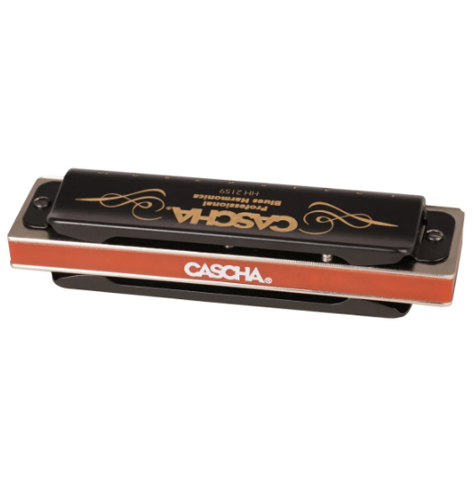 Губна гармоніка Cascha Professional Blues Harmonica в D Diatonic HH 2159 (Ре) 24-10-05-02 фото