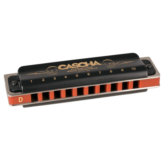 Губна гармоніка Cascha Professional Blues Harmonica в D Diatonic HH 2159 (Ре) 24-10-05-02 фото