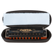 Губна гармоніка Cascha Professional Blues Harmonica in G Diatonic HH 2160 (Соль) (губна гармошка) 24-10-05-05 фото 2