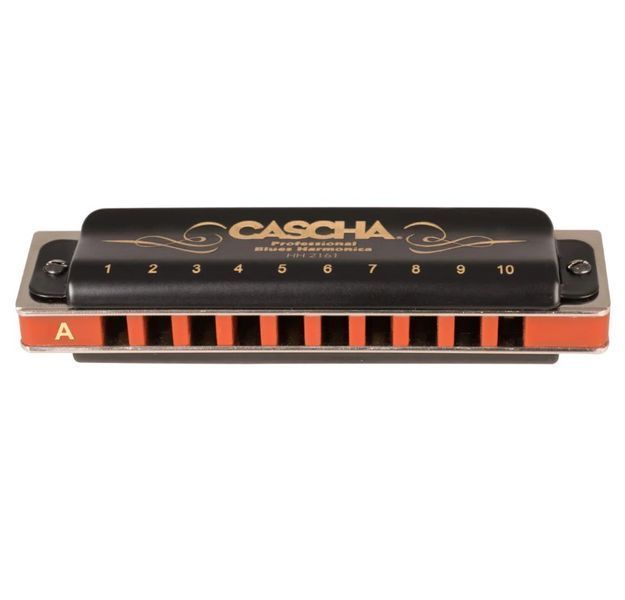 Губная гармошка Cascha Professional Blues Harmonica in A Diatonic HH 2161 (Ля) 24-10-05-06 фото