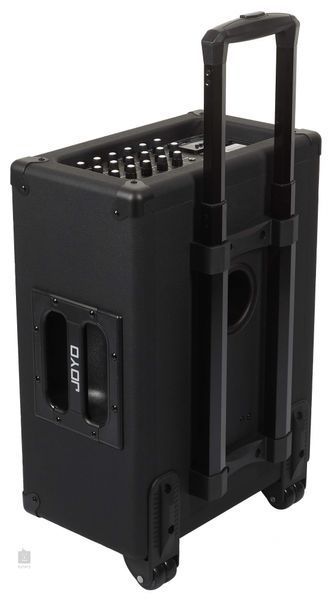 Акустична система Joyo JPA-863 (30 Вт) 125804 фото