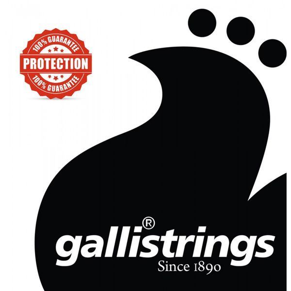 Струны для классической гитары Gallistrings GR90 Nylon HARD TENSION 29-1-21-3 фото
