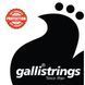 Струны для классической гитары Gallistrings GR90 Nylon HARD TENSION 29-1-21-3 фото 2
