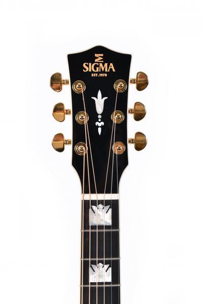 Электроакустическая гитара Sigma SGJA-SG200 Limited Series (с мягким кейсом) 126261 фото