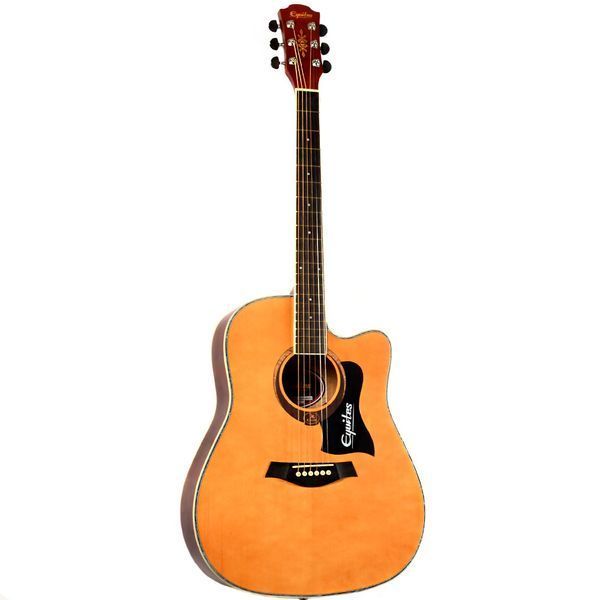 Набір акустична гітара Equites EQ900C N 41" + медіатори + струни + чохол 83238-76453-78837-74702 фото