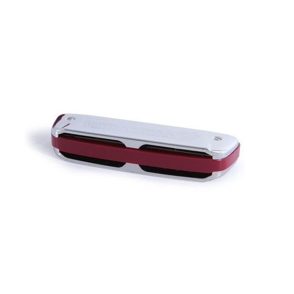 Губна гармошка Hohner M542036X Golden Melody D (Тональність &ndash;Ре-мажор) Діатонічна 10отворів 126009 фото