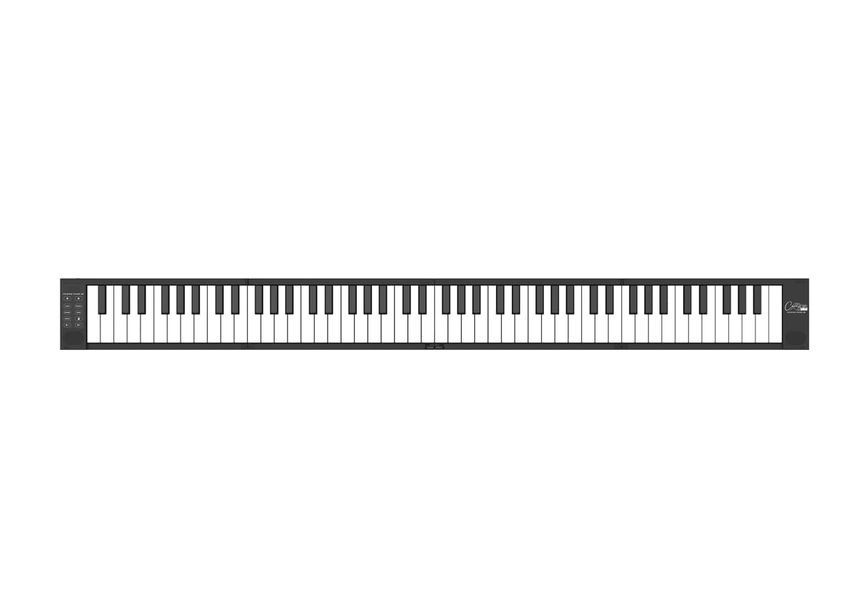 Складна MIDI-клавіатура Blackstar Carry-on Folding Piano (88 клавіш) Black 127827 фото
