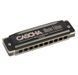 Губна гармоніка Cascha Master Edition Blues Harmonica in D Diatonic HH 2231 (Ре) (губна гармошка) 24-10-05-09 фото 2