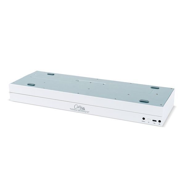 Фортепіано цифрове Blackstar CARRY ON Folding Piano 49 128042 фото