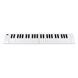 Фортепіано цифрове Blackstar CARRY ON Folding Piano 49 128042 фото 3