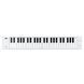 Фортепіано цифрове Blackstar CARRY ON Folding Piano 49 128042 фото 2