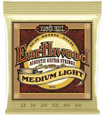 Струни для акустичної гітари 12-54 Ernie Ball P02003 116382 фото