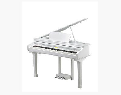 Цифровое пианино Kurzweil KAG-100 WHP 284313 фото