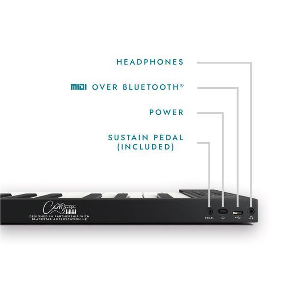 Фopтeпіaнo poзклaднe Blackstar Carry-On Folding Piano TOUCH Black (88 динам. клaвіaтypa) 128041 фото