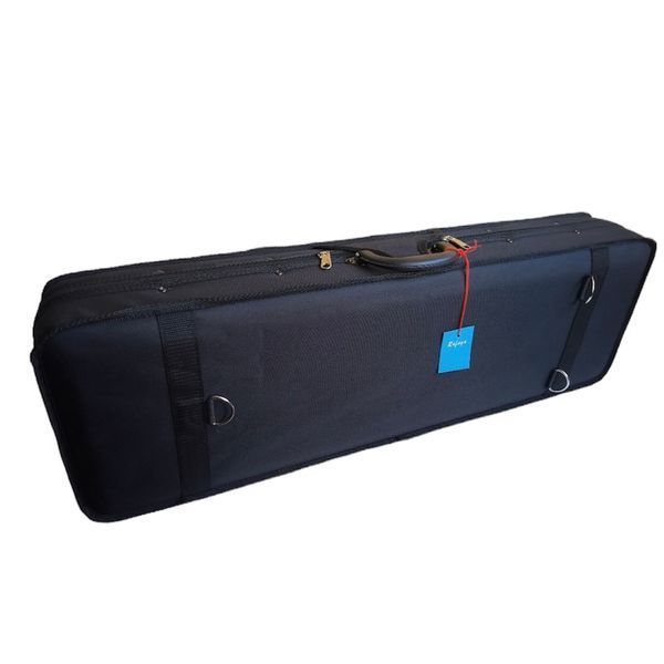 Кофр для скрипки Rafaga PDSF-001 4/4 верх чорний,середина зелена 86963 фото