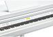 Цифрове піаніно Kurzweil KAG-100 WHP 284313 фото 7