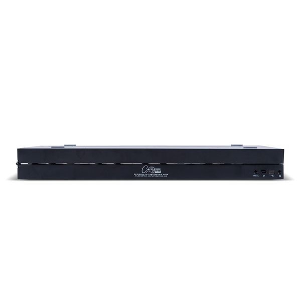 Фopтeпіaнo poзклaднe Blackstar Carry-On Folding Piano TOUCH Black (49 динам. клавіатура) 128228 фото
