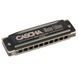 Губна гармоніка Cascha Master Edition Blues Harmonica in Bb Diatonic HH 2236 (Сі бемоль) (губна гармошка) 24-10-05-14 фото 2