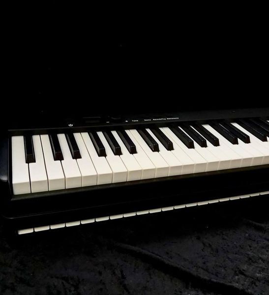 Складне цифрове піаніно Musicality CP88PRO-BK _CompactPianoPRO, 88 клавіш 22-07-08-05 фото