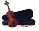 Скрипка Cervini HV-100 1/2 комплект кофр, смычок, канифоль 119979 фото 1