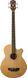 Акустическая бас-гитара Washburn AB5 256641 фото 1