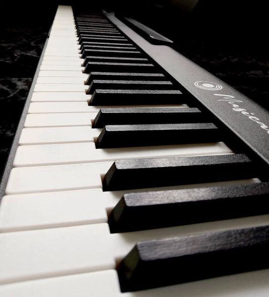 Набір складне цифрове піаніно Musicality CP88PRO-BK _CompactPianoPRO + стійка + педаль + чохол + пюпітр + адаптер 22-07-08-05-23-08-09-01 фото