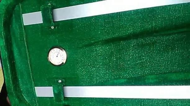Кофр для скрипки Rafaga размер 4/4 с гигрометром зеленый бархат 84100 фото